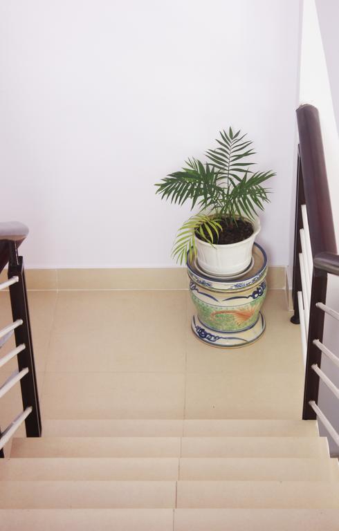 Tree House Hostel 달랏 외부 사진