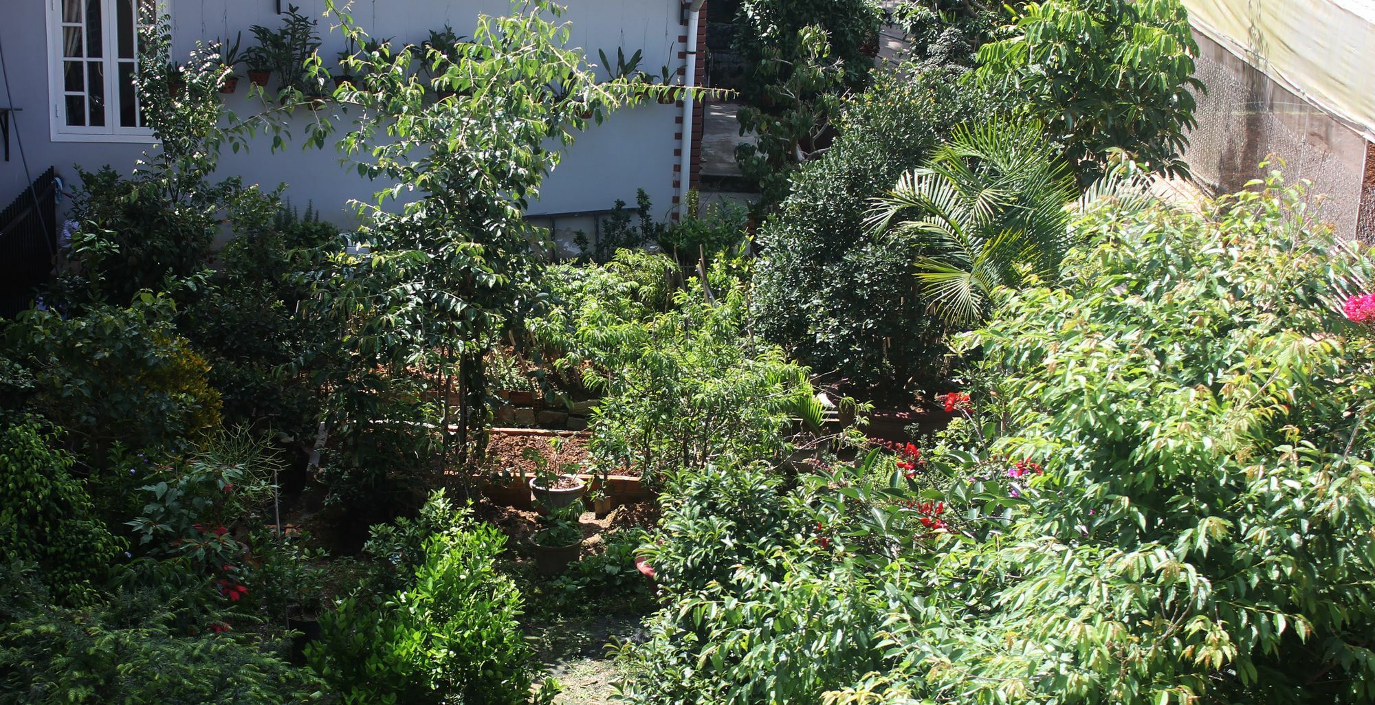 Tree House Hostel 달랏 외부 사진